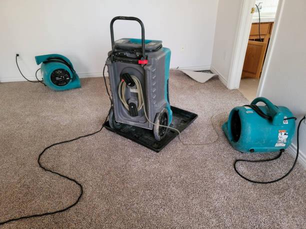 Best Carpet water damage restoration  in Fish Hawk, FL