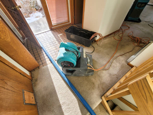 Best Water damage restoration near me  in Fish Hawk, FL