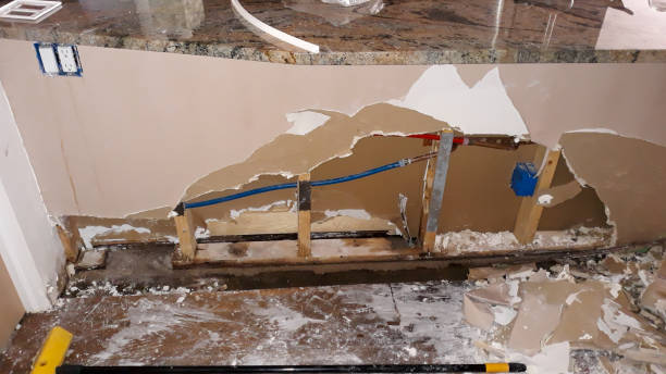 Best Professional water damage repair  in Fish Hawk, FL