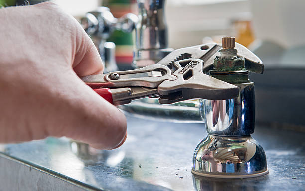 Best Ceiling water damage repair  in Fish Hawk, FL