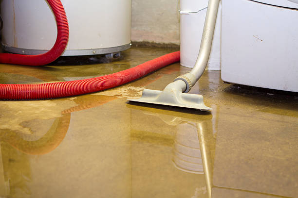 Best Water damage contractors near me  in Fish Hawk, FL