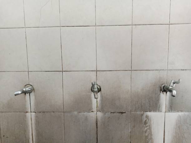 Best 24-hour water damage restoration  in Fish Hawk, FL