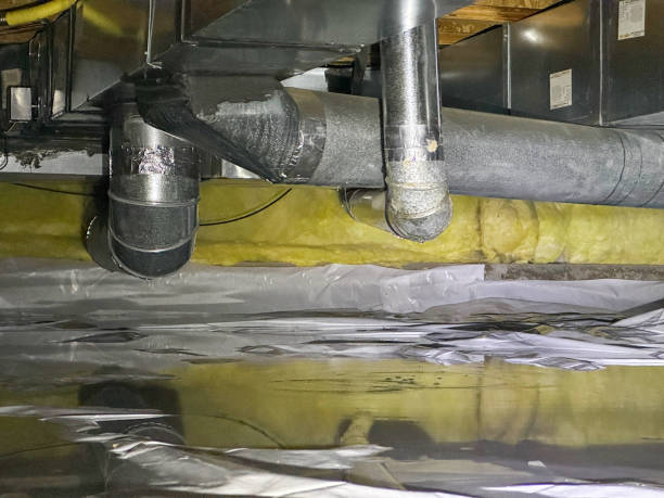 Best Carpet water damage restoration  in Fish Hawk, FL