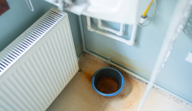 Best Commercial water damage restoration  in Fish Hawk, FL