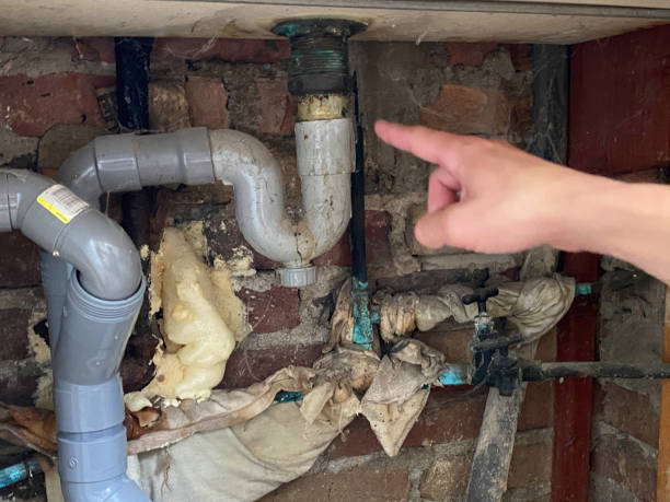 Fish Hawk, FL Water damage restoration Pros