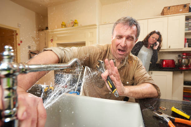 Best Mold removal after water damage  in Fish Hawk, FL